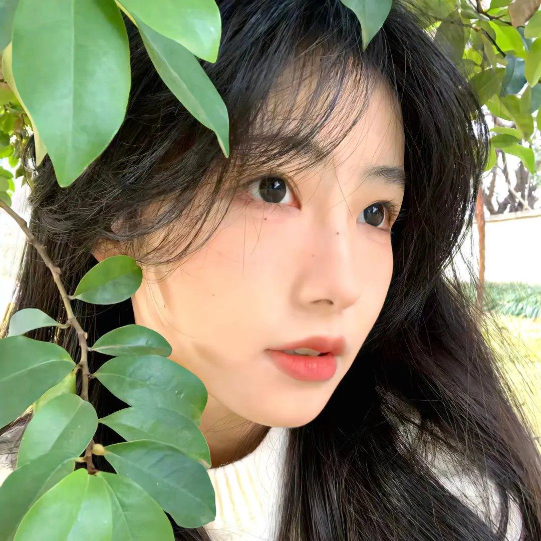 维京小海盗
